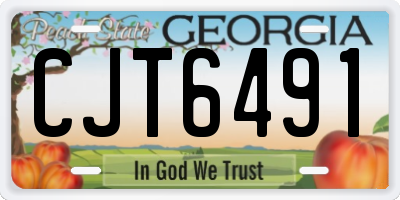 GA license plate CJT6491