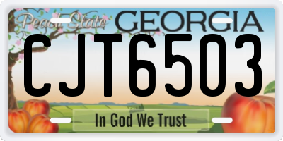 GA license plate CJT6503