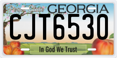 GA license plate CJT6530