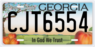 GA license plate CJT6554