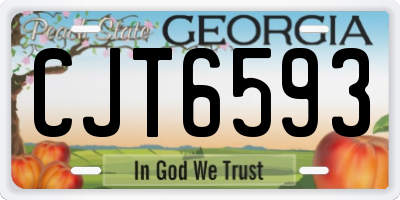 GA license plate CJT6593