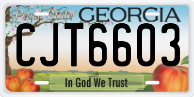 GA license plate CJT6603