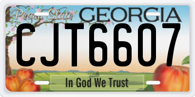 GA license plate CJT6607