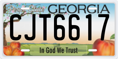GA license plate CJT6617