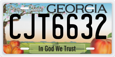 GA license plate CJT6632