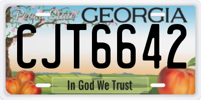 GA license plate CJT6642