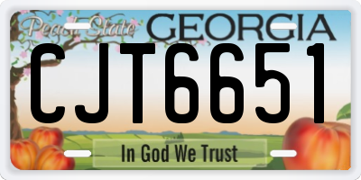 GA license plate CJT6651