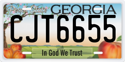 GA license plate CJT6655