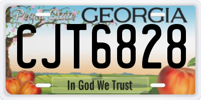 GA license plate CJT6828