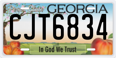 GA license plate CJT6834