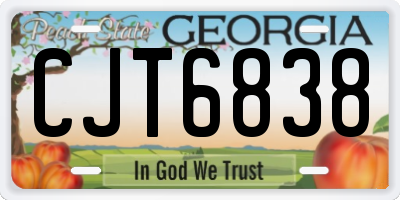 GA license plate CJT6838