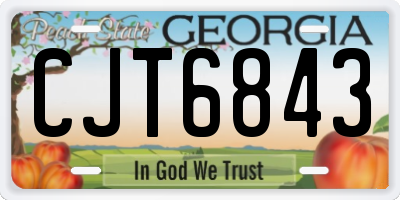 GA license plate CJT6843