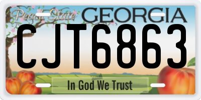 GA license plate CJT6863