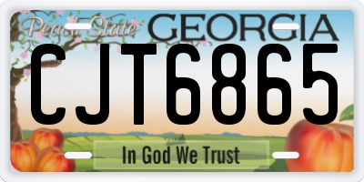 GA license plate CJT6865