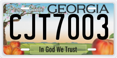 GA license plate CJT7003