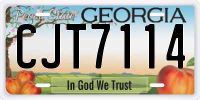 GA license plate CJT7114