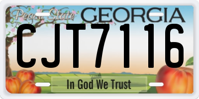 GA license plate CJT7116