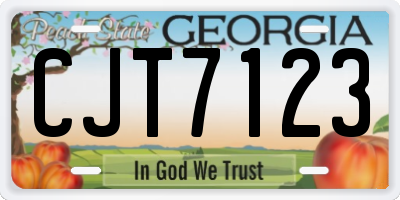 GA license plate CJT7123
