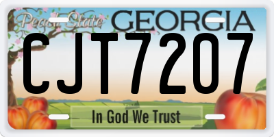 GA license plate CJT7207