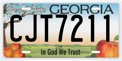 GA license plate CJT7211
