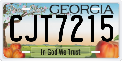 GA license plate CJT7215