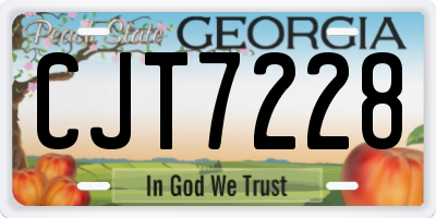 GA license plate CJT7228