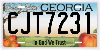 GA license plate CJT7231