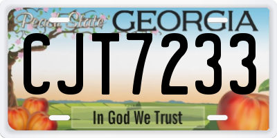 GA license plate CJT7233