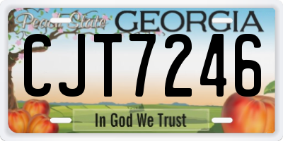 GA license plate CJT7246