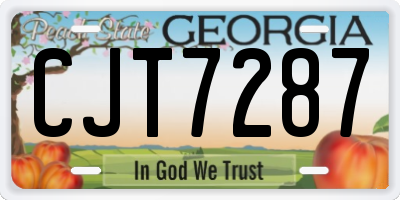 GA license plate CJT7287