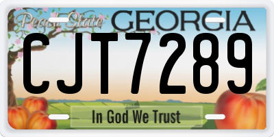 GA license plate CJT7289
