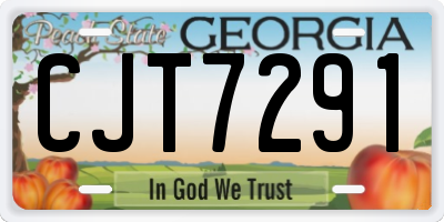 GA license plate CJT7291