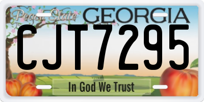 GA license plate CJT7295