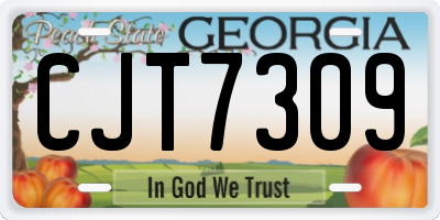 GA license plate CJT7309