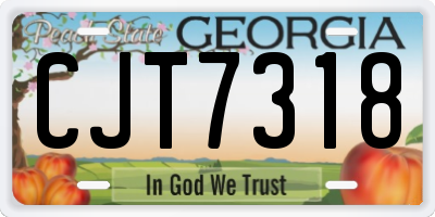 GA license plate CJT7318