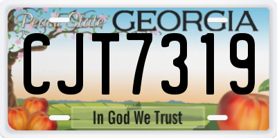 GA license plate CJT7319
