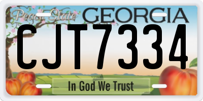 GA license plate CJT7334