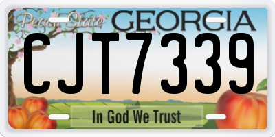 GA license plate CJT7339
