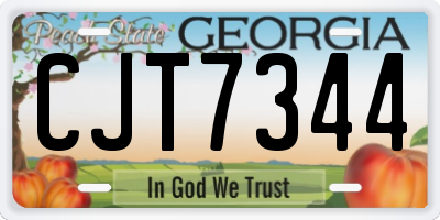 GA license plate CJT7344