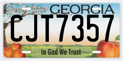 GA license plate CJT7357