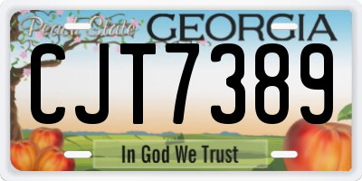 GA license plate CJT7389
