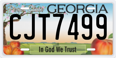 GA license plate CJT7499