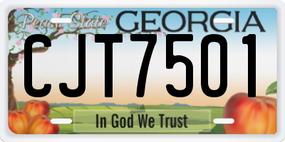 GA license plate CJT7501