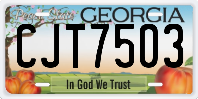 GA license plate CJT7503