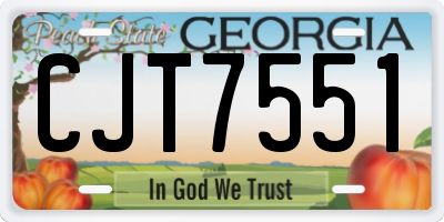 GA license plate CJT7551