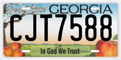 GA license plate CJT7588
