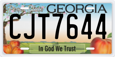 GA license plate CJT7644