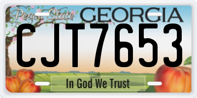 GA license plate CJT7653