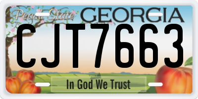GA license plate CJT7663