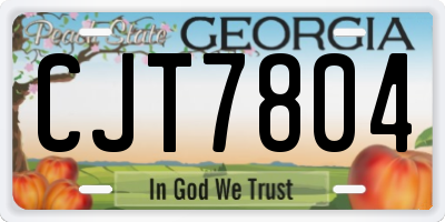 GA license plate CJT7804